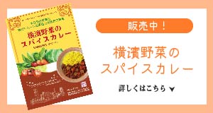 マサラモア　横浜産野菜使用　カレー伝導師　中尾真紀子の横濱野菜のスパイスカレー